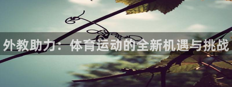 米兰体育网页版登录