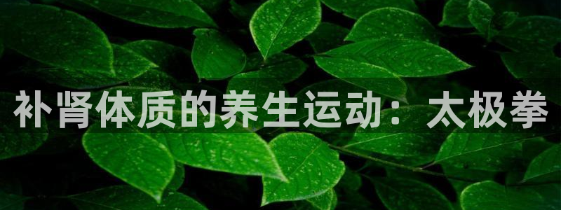 米兰体育