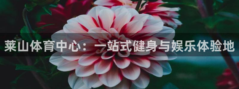 米兰体育网址