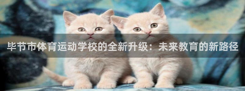 米兰体育最新版下载