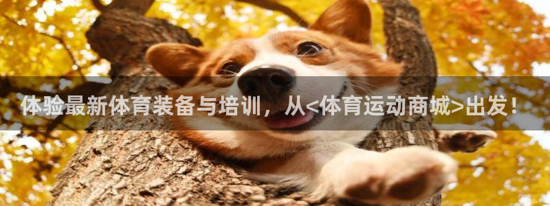 米兰体育官网入口