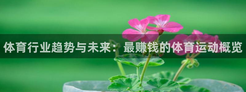 米兰体育网页版
