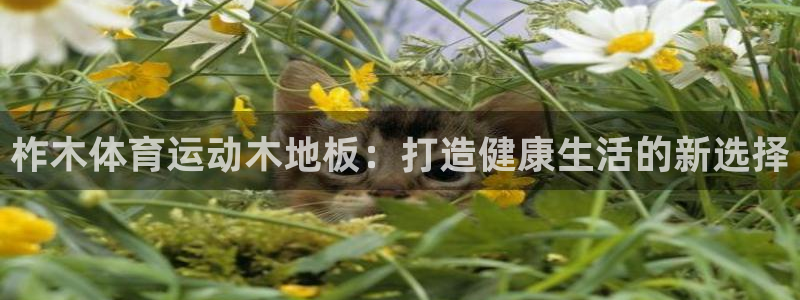 米兰体育怎么样